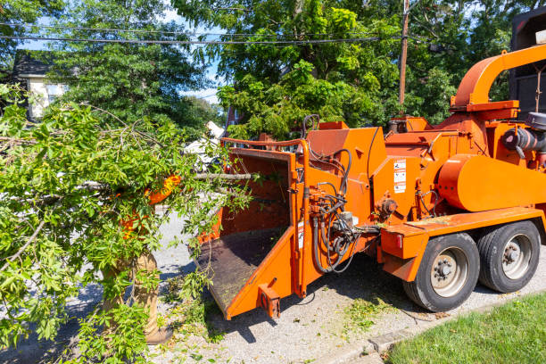 Emergency Storm Tree Removal in Upper Exeter, PA